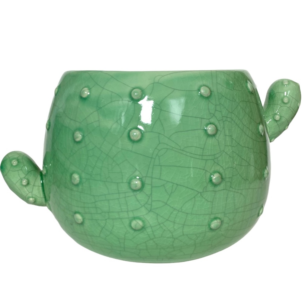 Light Green Ceramic Cactus